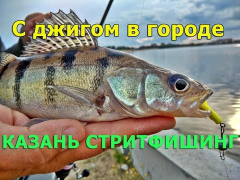 Видео: Джиговая рыбалка в городе. Казань. Стритфишинг.