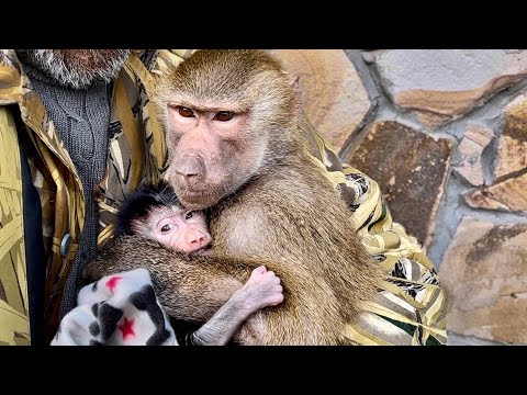 Видео: Люська прирожденная МАТЬ, они с Анфисой просто ВЦЕПИЛИСЬ К ДРУГ ДРУГУ!