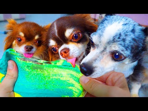 Видео: КТО ПОБЕДИТ?! АНТИСТРЕСС СЛАЙМЫ ПРОТИВ ПИТОМЦЕВ! РАСПАКОВКА МИЛЛИОНА ЛИЗУНОВ 7 ДЕНЬ