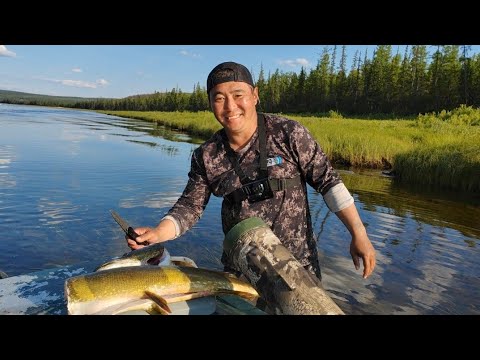 Видео: РЫБАЛКА В ЯКУТИИ. АМГА ЧАСТЬ 1.