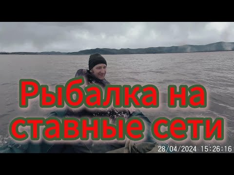 Видео: Рыбалка на ставные сети ⛴🐠🐋🦈