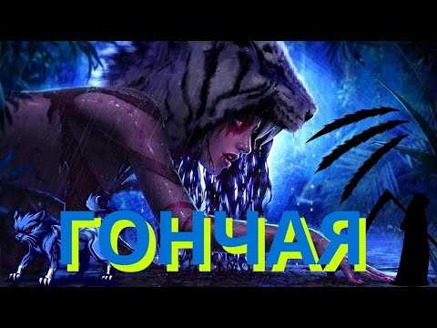 Видео: Warframe / Гончая / Возможно самый имбовый спутник для фрейма 🐾