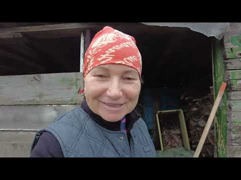 Видео: Купили землю / ВОТ ОНО СЧАСТЬЕ🏡🍓🧄🧄🌵🍁🍂🍁