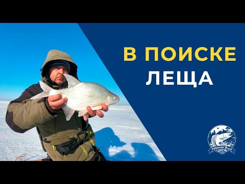 Видео: В поиске Леща. Как искать леща на незнакомом водоёме.
