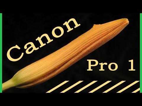 Видео: Делаю макро фото на Canon PowerShot Pro 1