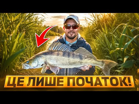 Видео: Судак і Шука на гачку! Дивись що зловив!