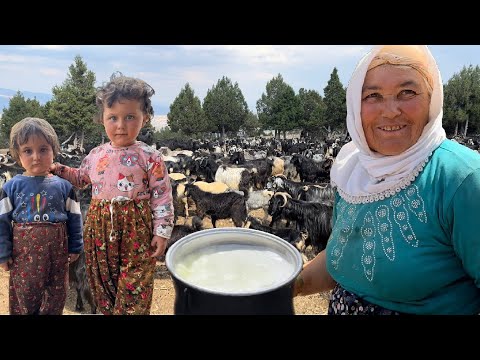 Видео: СТАДО ИЗ 1000 КОЗ!!! ЕСТЕСТВЕННАЯ ЖИЗНЬ КОЧЕВНИКОВ | ДОКУМЕНТАЛЬНЫЙ ФИЛЬМ В ФОРМАТЕ 4K