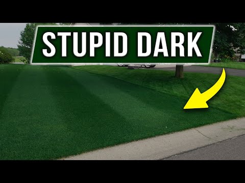 Видео: Две летние заявки на ГЛУПЫЙ ТЕМНЫЙ ГАЗОН - показаны результаты!
