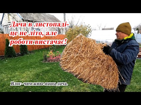Видео: Купили солому, накрили троянди та багато іншого. Наша дача в листопаді.