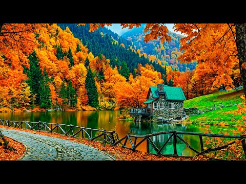 Видео: Успокаивающая музыка для исцеления сердца 🌿 Расслабляющее фортепиано 🌿 Спокойная концентрация,