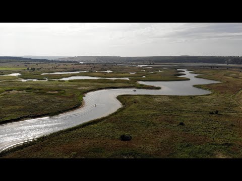 Видео: ВВП15 Поход на лодках вверх по Сылве в царство камышей, прозрачной воды и проток.
