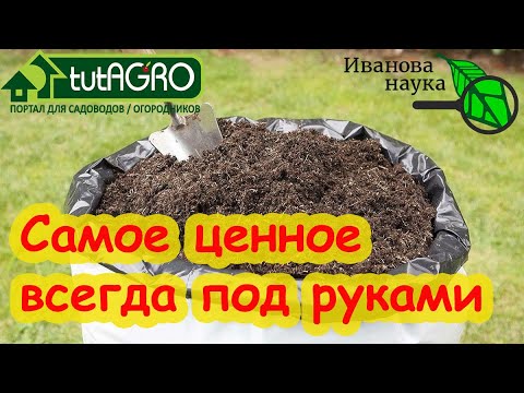 Видео: ОТ ЭТОГО КОМПОСТА ВСЁ КОЛОСИТСЯ! Как делать компост из ботвы и мусора с помощью триходермы.