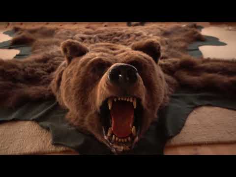 Видео: Кормисош