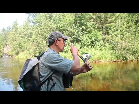 Видео: Советы по Micro Skagit Commando Head от Эда Уорда — OPST