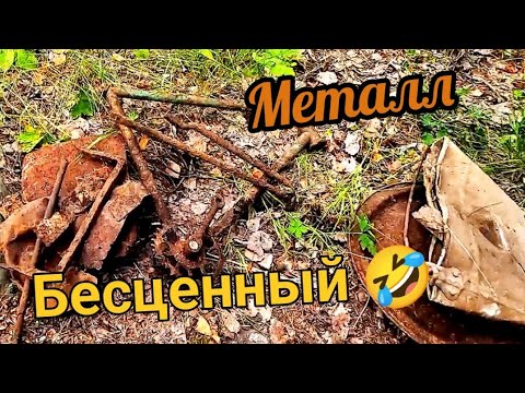 Видео: Копаю металлолом, хоть цена и не радует
