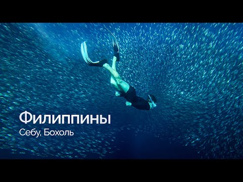 Видео: Филиппины. Неделя на Себу и Бохоль. Снорклинг, Водопады, Еда и Цены