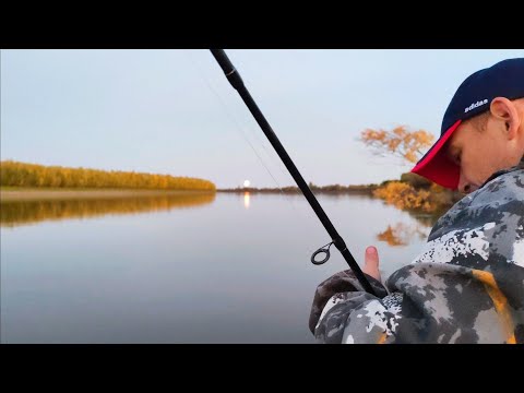 Видео: ЛИСТ ИДЁТ - ЩУКА КЛЮЁТ! С ЭТОЙ ПРИМАНКОЙ ДАЖЕ ЛИСТ НЕ ПОМЕХА.