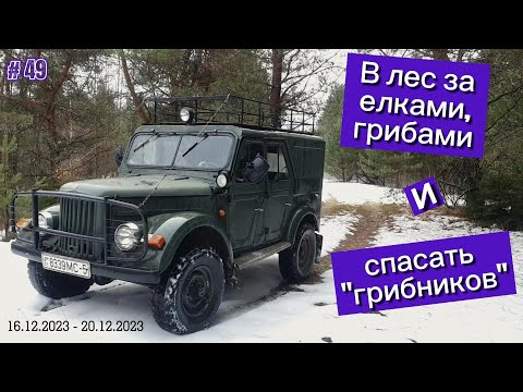 Видео: В лес за елками, грибами и спасать "грибников".