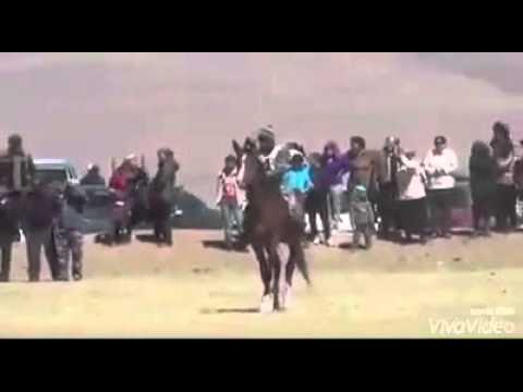 Видео: The fastest horse! Самый быстрый скакун. Найман торының шабысы, Қазақтың шабысы