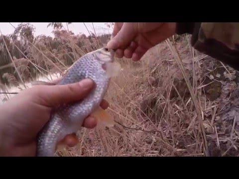 Видео: Ловля на боковой кивок Летняя мормышка Плотва