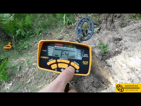 Видео: Обзор Garrett ACE 300i