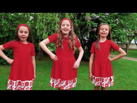 Видео: ПУЙНЕ ЛЕ - Трио "Звездица"/Official Video/