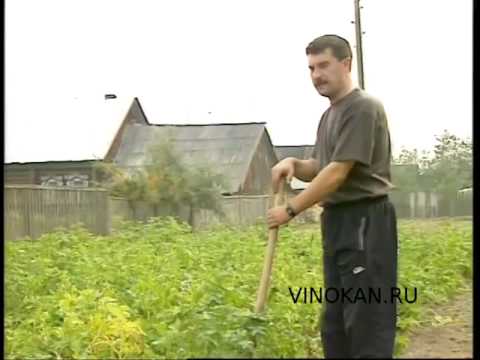 Видео: Байки Владимира Виноградова, вырезанное, часть третья