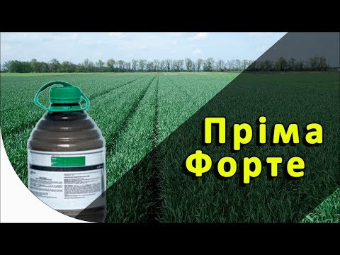 Видео: Пріма форте - гербіцид на зернові