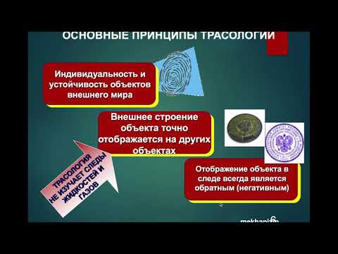 Видео: Трасология