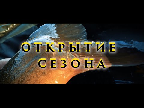 Видео: Карпфишинг Открытие Сезона 2022 ,,Новые Возможности’’