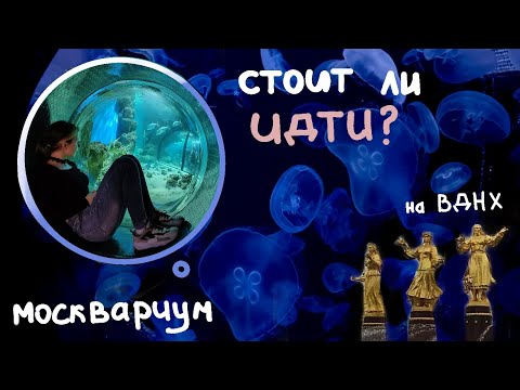 Видео: МОСКВАРИУМ на ВДНХ. Что там интересного / Обзор/ #влог2