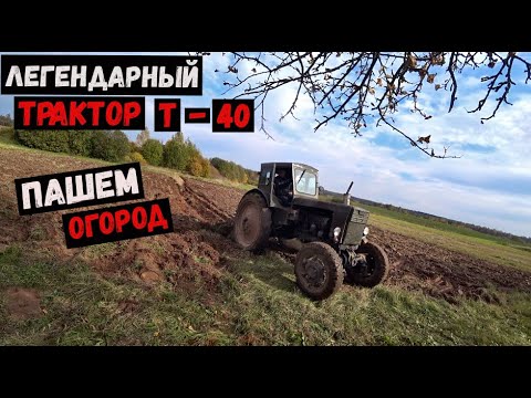 Видео: ЛЕГЕНДАРНЫЙ ТРАКТОР Т-40 А В ДЕЛЕ, ПАШЕМ ОГОРОД СЕЕМ ПШЕНИЦУ