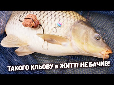 Видео: Рибалка на карася та коропа на донку