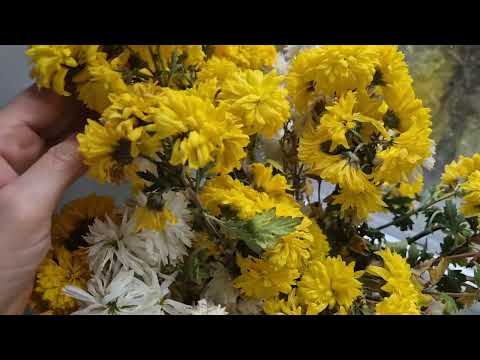 Видео: Чем я теперь стираю 🧼