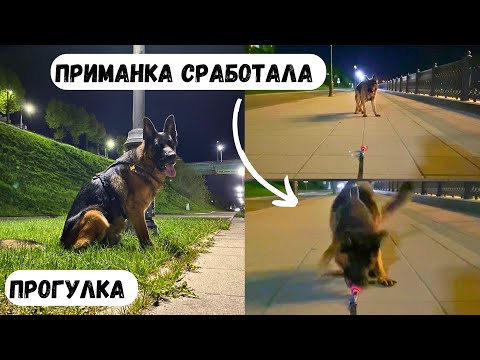 Видео: НОЧЬЮ С НЕМЦЕМ НА НАБЕРЕЖНОЙ [влог] - умиротворяющая прогулка, тренировка, игры в мяч