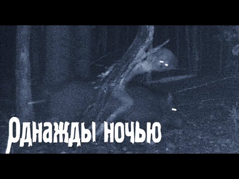 Видео: Это появляется из ниоткуда. Страшные. Мистические. Творческие  рассказы.