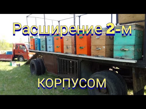 Видео: Расширение пчелосемьи вторым корпусом.Перекочевал в лес на развитие.