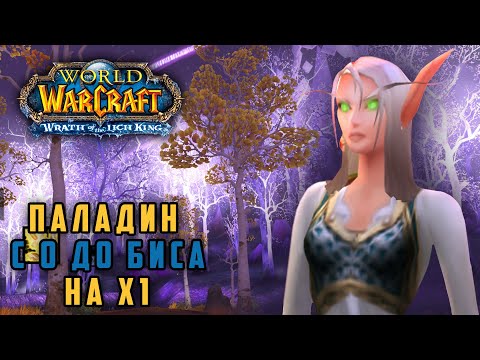 Видео: Очередная "БИТВА ЗА ХИЛСБРАД" #24 -- Wow Circle (Lich King)