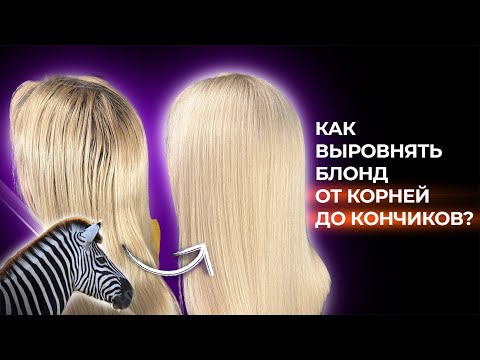 Видео: Как выровнять блонд от корней до кончиков без полос? | Парикмахер | Блонд