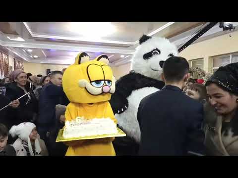 Видео: Туй Конибодом (Лохути)