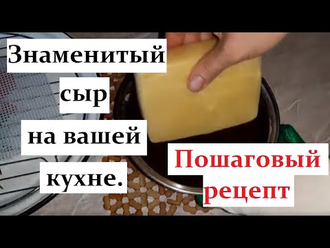 Видео: Твёрдый сыр гауда в домашних условиях.