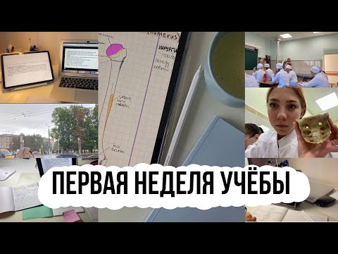 Видео: первая неделя учёбы в медицинском