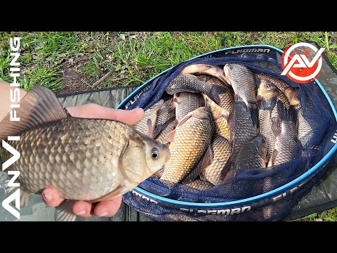 Видео: КАРАСЬ НА ФЛЕТ-ФІДЕР. Відкрили сезон на весняного карася