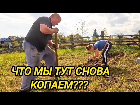 Видео: ЧТО МЫ ТУТ СНОВА КОПАЕМ??? | ДОМ В ДЕРЕВНЕ | Деревенская жизнь | Из города в деревню 