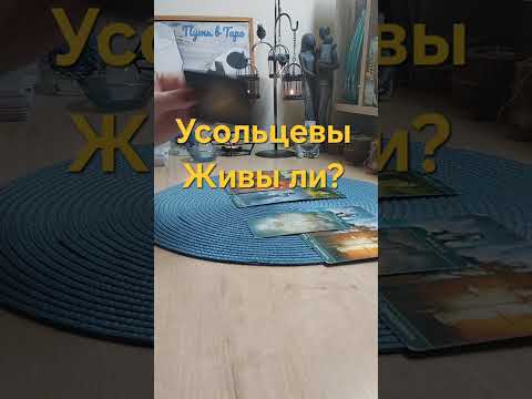 Видео: Семья Усольцевых. Живы ли? 🙏 Пропавшие в тайге. Тайна. Мистика?🤔