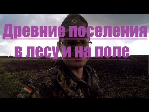 Видео: Виды поселений: лесное и полевое!