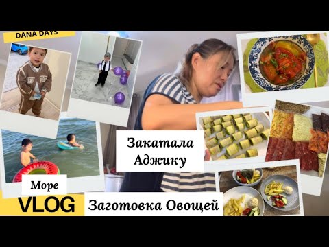 Видео: VLOG🎬114/закупилп овощи🍆🍅/аджика на зиму/готовка/на море/домашний влог