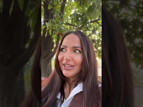 Видео: Лиза Триандафилиди в прямом эфире 07.11.2025.