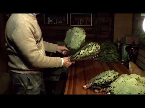 Видео: Школа мастерства. Обзор профессиональных веников