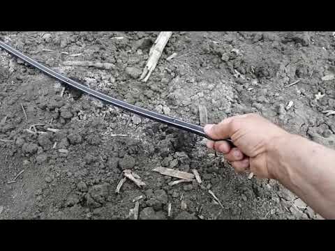 Видео: 1 мая 2020. Сад черешни. Капельный полив.